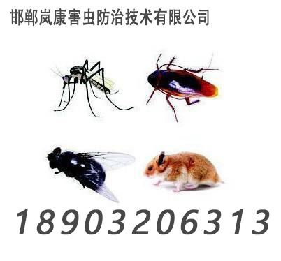 邯鄲除蟲(chóng)除蟻滅鼠、滅蟑螂、滅白蟻、滅四害、殺蟲(chóng)