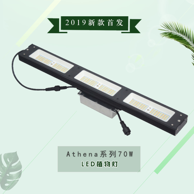 承越外貿(mào)貨源led種植燈Athena大棚70w植物生長補光燈