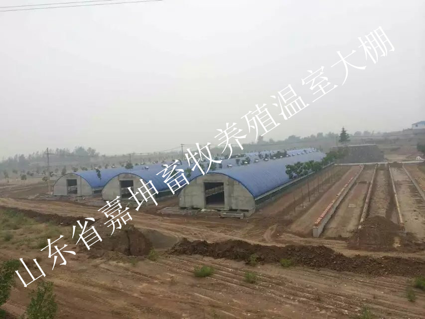 水產(chǎn)養(yǎng)殖大棚 供應養(yǎng)殖大棚 薄膜溫室大棚建設 建養(yǎng)雞大棚
