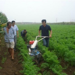 培土機(jī)刀片大蔥培土機(jī)培土視頻開溝培土機(jī)視頻大蔥開溝培土機(jī)