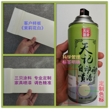 家具修補(bǔ)手噴漆 定制自噴漆